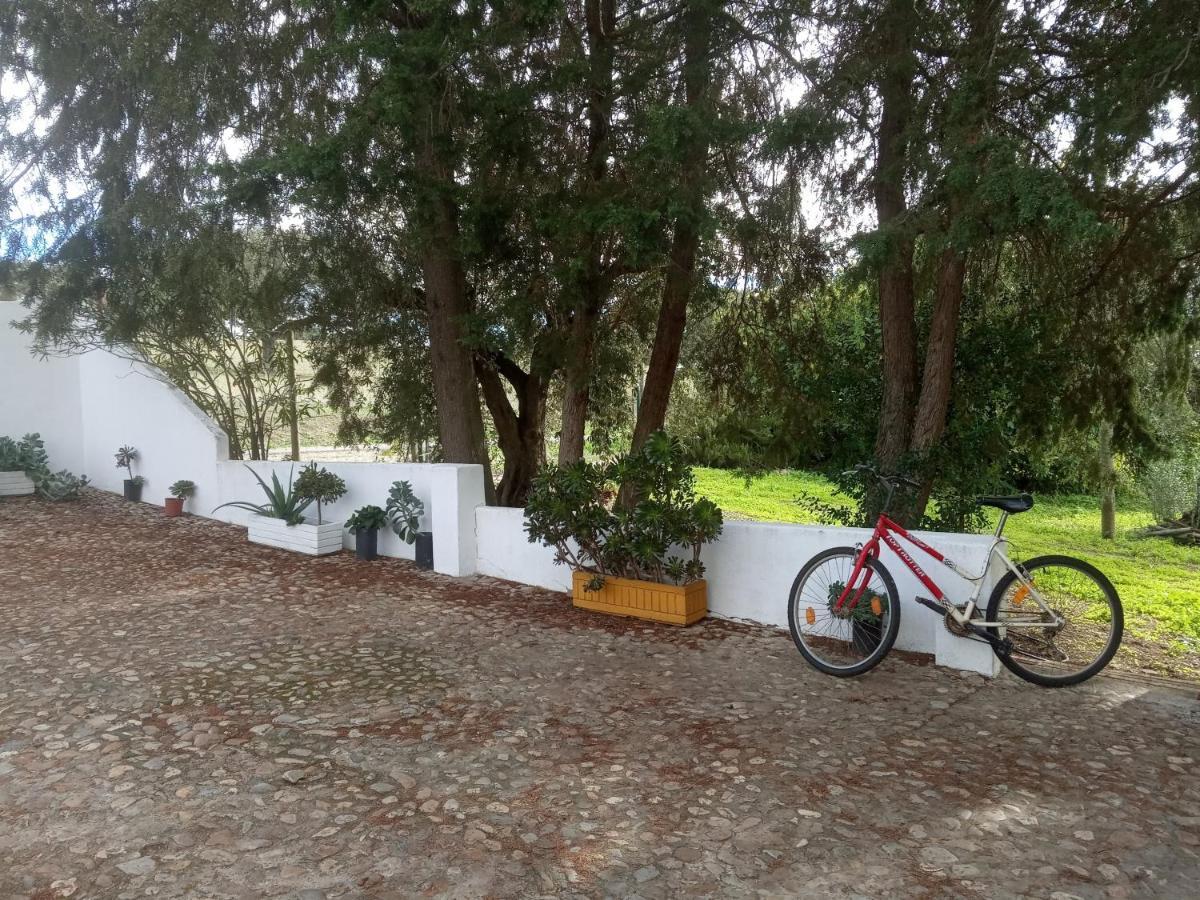 Monte Da Samarra Villa Aviz Eksteriør bilde