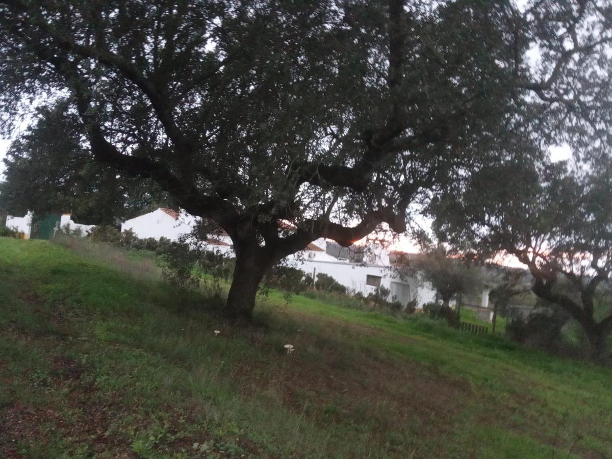 Monte Da Samarra Villa Aviz Eksteriør bilde