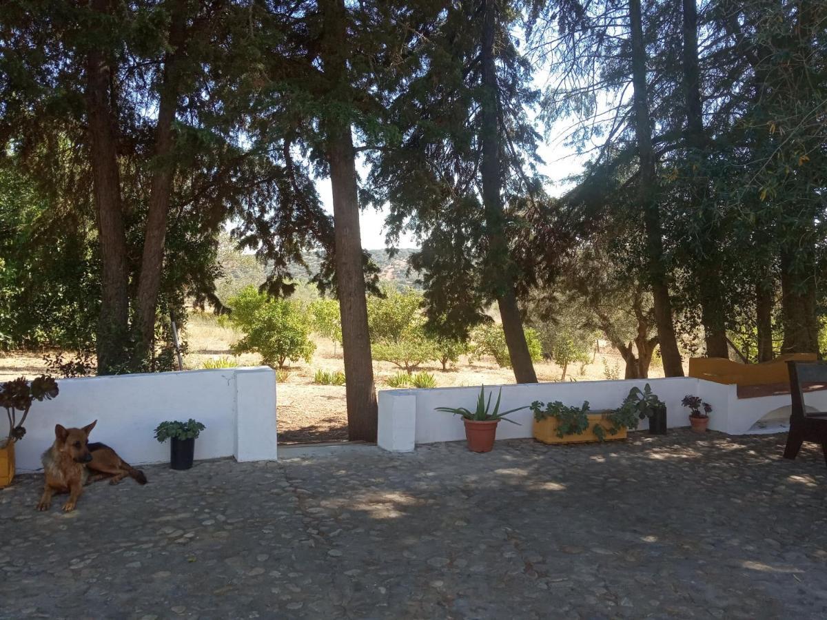 Monte Da Samarra Villa Aviz Eksteriør bilde