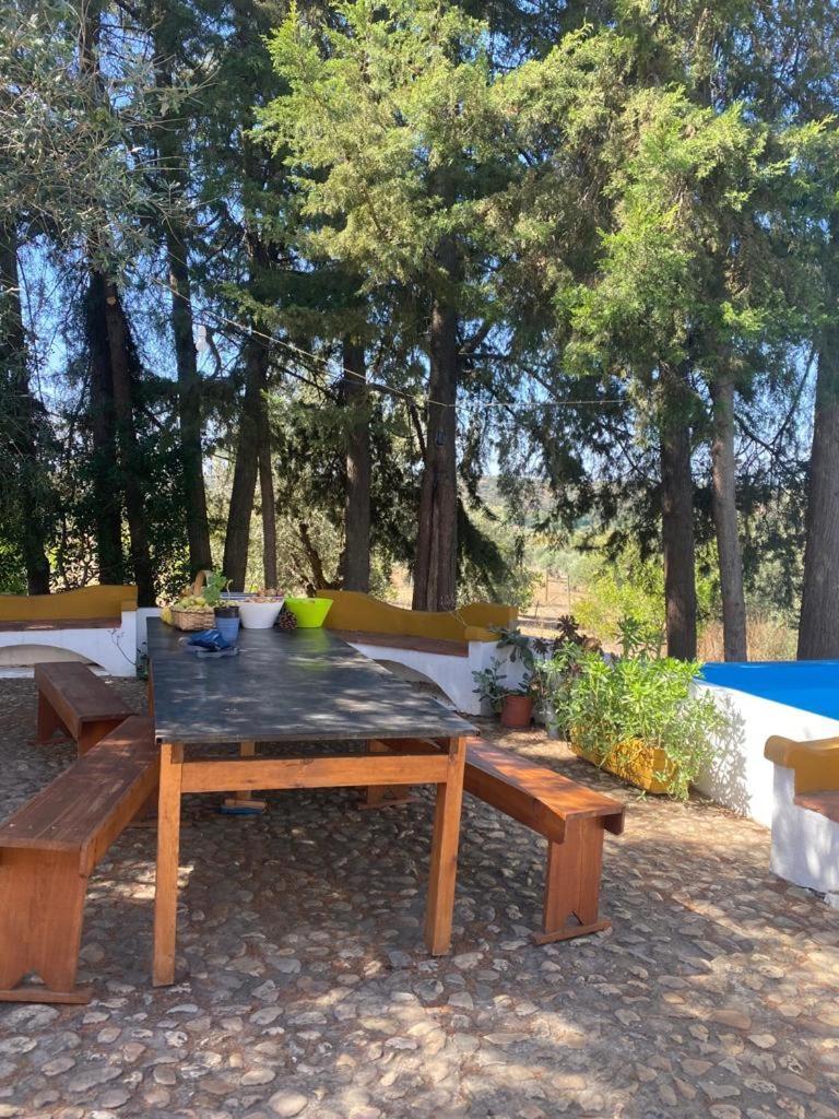 Monte Da Samarra Villa Aviz Eksteriør bilde