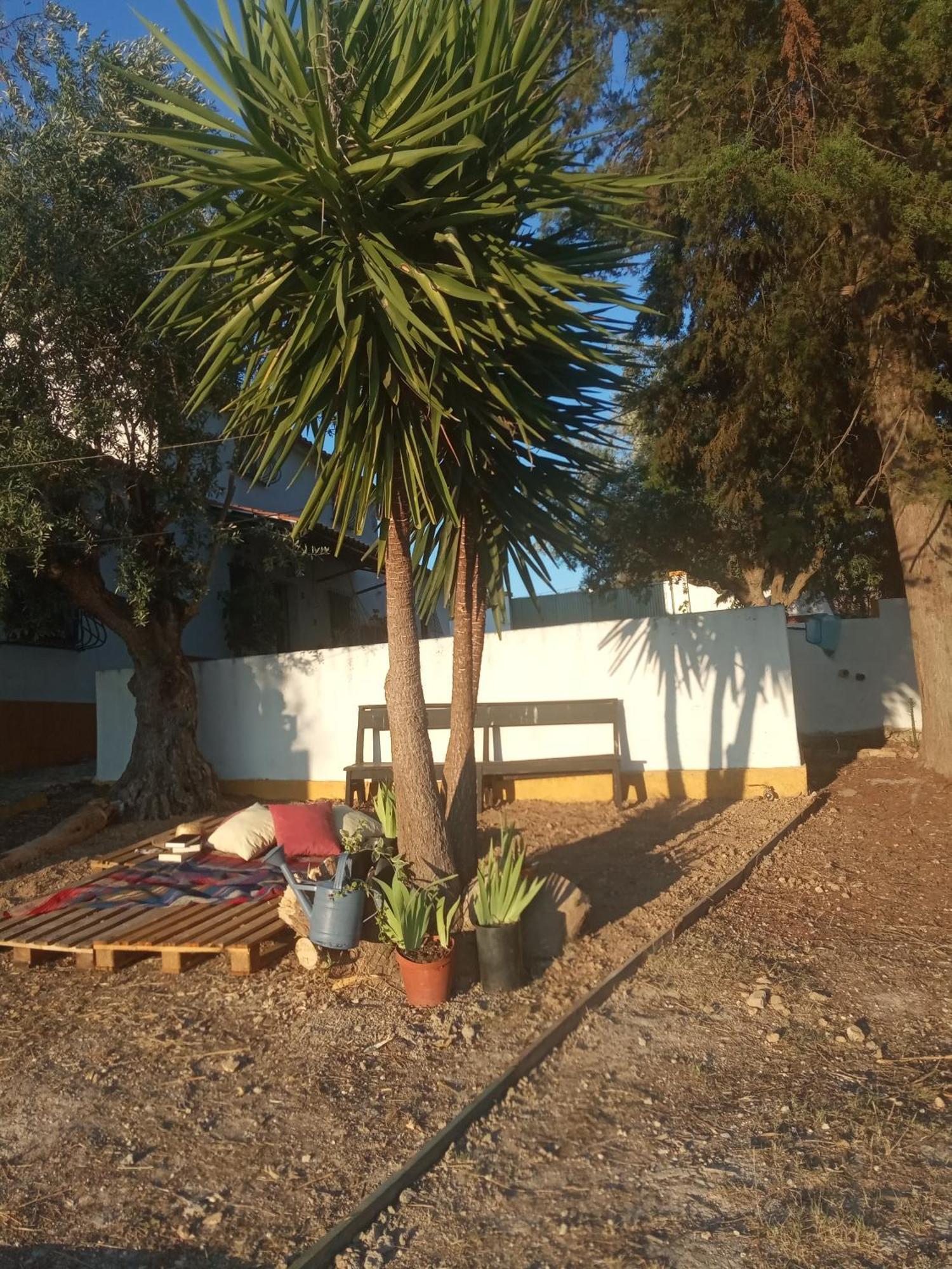 Monte Da Samarra Villa Aviz Eksteriør bilde