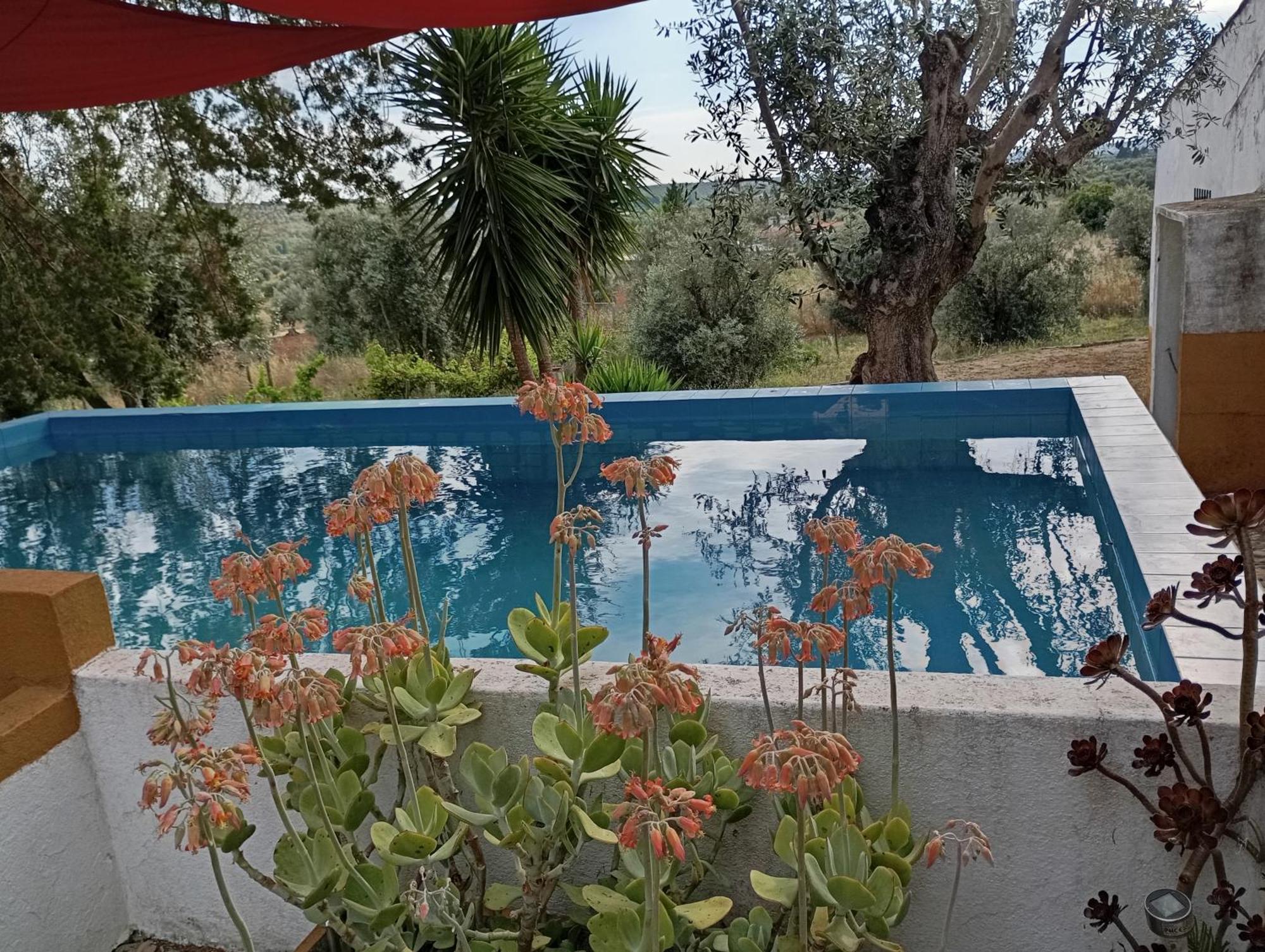 Monte Da Samarra Villa Aviz Eksteriør bilde