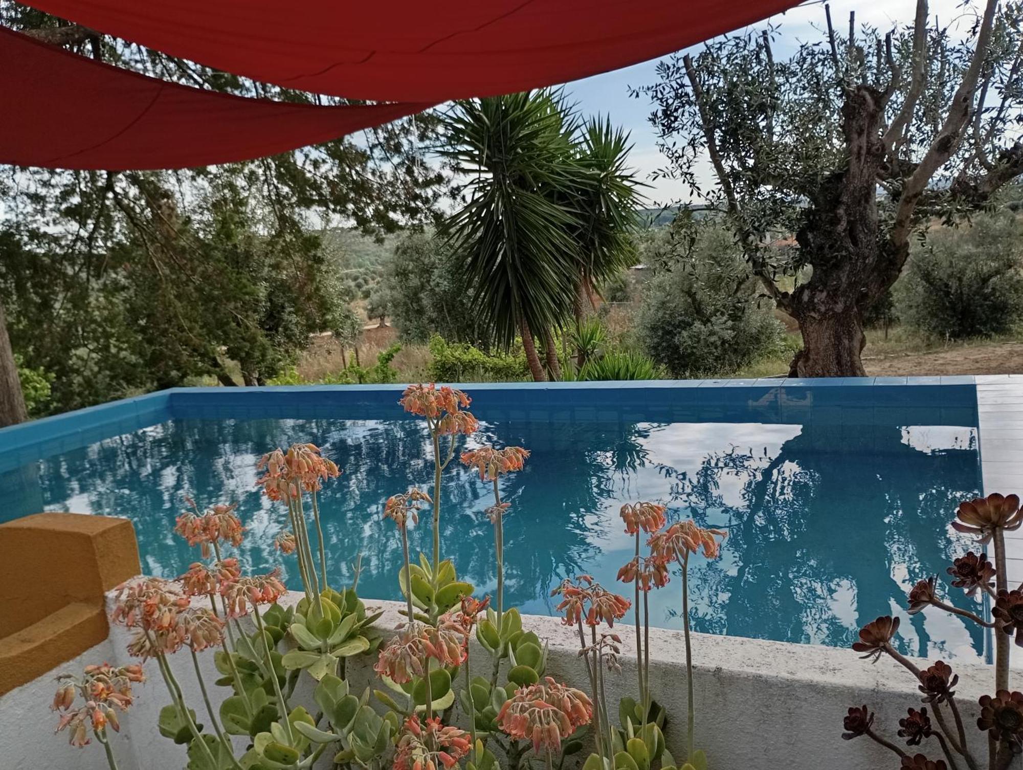 Monte Da Samarra Villa Aviz Eksteriør bilde